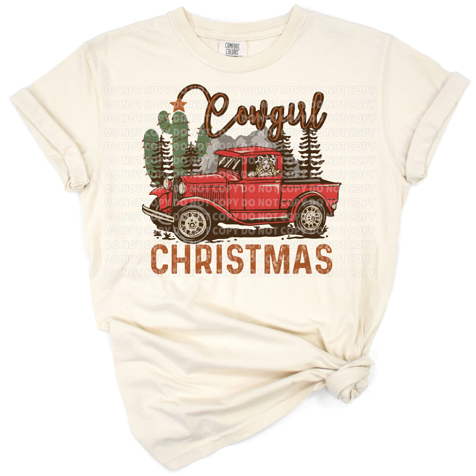 A vintage western truck with a cactus and holiday lights in cowgirl style.