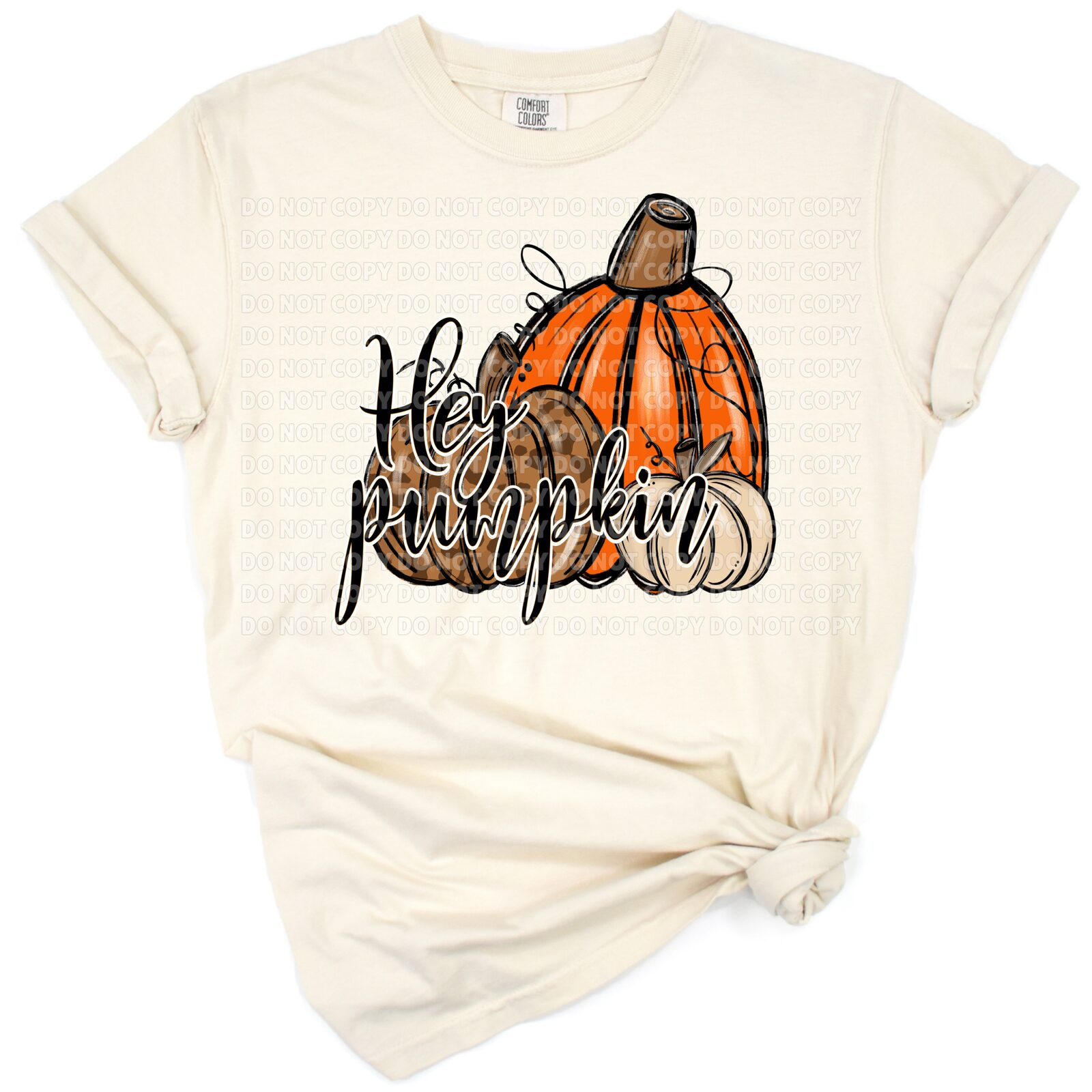 Hand drawn illustration of pumpkins with the phrase Hey Pumpkin in autumn colors.
