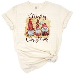 A group of cheerful gnomes dressed in holiday attire surrounded by Christmas decorations.
