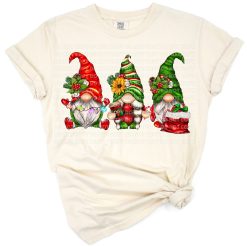 Three charming Christmas gnomes dressed in festive holiday outfits with snowy accents.