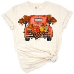A vintage pickup truck filled with pumpkins surrounded by fall leaves in an autumn scene.