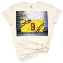 A distressed softball with a seam in the style of a license plate.
