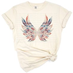 Illustration of vintage eagle wings with American flag colors