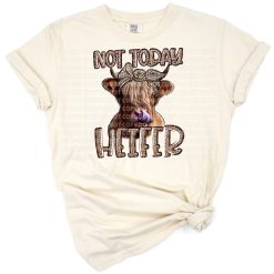 A humorous highland cow with cheetah print details in a country western style.