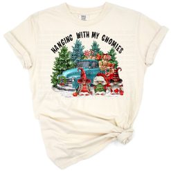 Christmas gnomes with a festive red truck and holiday decorations.