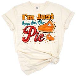 A playful illustration of a pumpkin pie slice with a dollop of whipped cream.