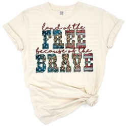 Patriotic retro artwork with American flag elements and bold freedom-inspired lettering.
