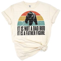 A retro-style funny cartoon illustration with 'It Is Not a Dad Bod, It Is a Father Figure' phrase.