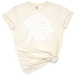 An artistic feather with a vintage, distressed grunge style in autumn colors.