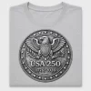 USA 250 Patriotic Eagle DTF Transfer