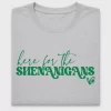 Here For The Shenanigans DTF Transfer