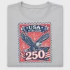 USA 250th Anniversary DTF Transfer