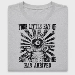 Sarcastic Raccoon DTF Transfer