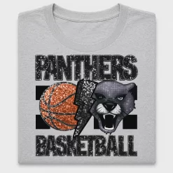Panthers Basketball Retro DTF Transfer