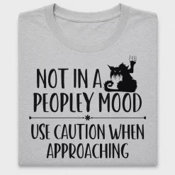 Grumpy Cat Not In Mood DTF Transfer