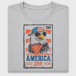 Distressed Eagle America 250 DTF Transfer