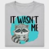 Cute Raccoon "It Wasn't Me" DTF Transfer