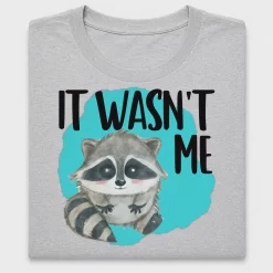 Cute Raccoon "It Wasn't Me" DTF Transfer