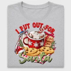 I Put Out For Santa DTF Transfer