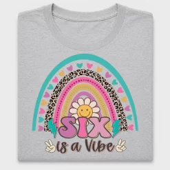 Groovy Six Is A Vibe DTF Transfer