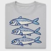 Coastal Sardines DTF Transfer