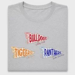 School Mascot Pennant DTF Transfer