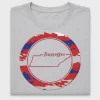 Tennessee State Flag DTF Transfer