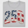 USA 250th Anniversary DTF Transfer