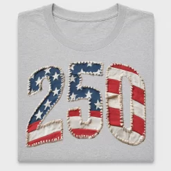 USA 250th Anniversary DTF Transfer