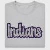 Glitter Indians DTF Transfer