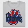 Retro Panthers Paw DTF Transfer