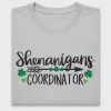 Shenanigans Coordinator DTF Transfer