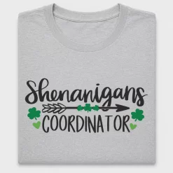 Shenanigans Coordinator DTF Transfer
