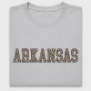 Leopard Arkansas State DTF Transfer