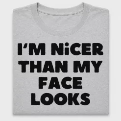 Sarcastic I'm Nicer Than My Face Looks DTF Transfer
