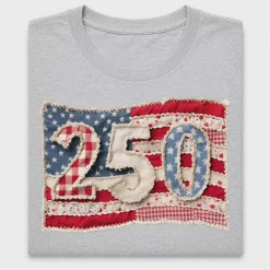 Patriotic 250 DTF Transfer Design