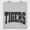 Leopard Tigers Varsity DTF Transfer