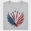 Patriotic Fighter Jets DTF Transfer