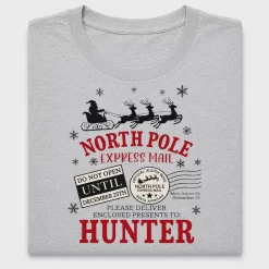 North Pole Express Mail DTF Transfer