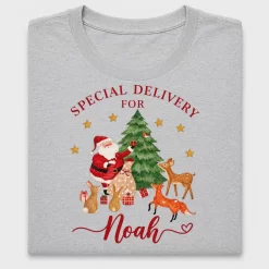Christmas Santa Delivery DTF Transfer