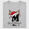 Santa Sack Letter DTF Transfer