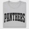 Retro Polka Dot Panthers DTF Transfer