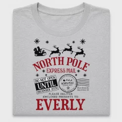 North Pole Express Mail DTF Transfer