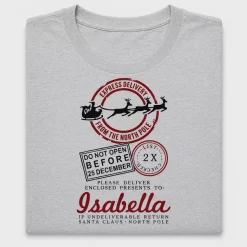 Personalized Santa Mail DTF Transfer