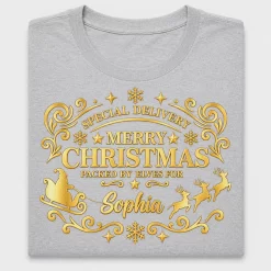 Special Delivery Merry Christmas DTF Transfer