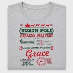 North Pole Express Delivery DTF Transfer