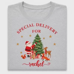 Special Delivery Santa DTF Transfer