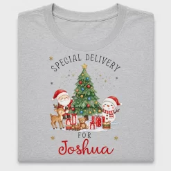 Christmas Santa Special Delivery DTF Transfer