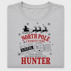 North Pole Express Mail DTF Transfer