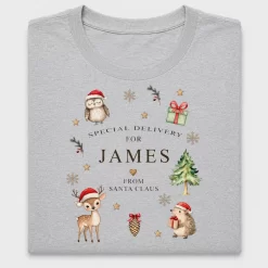 Christmas Santa Special Delivery DTF Transfer